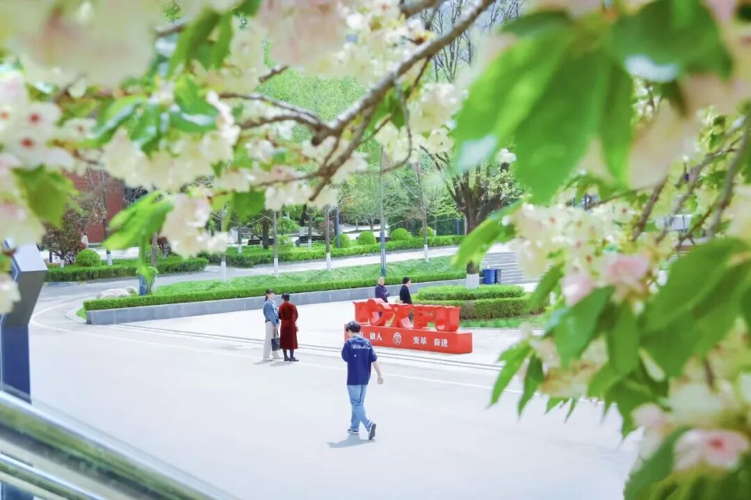 西译以组织架构重组重塑运行肌理