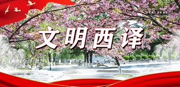 加快推进应用转型发展